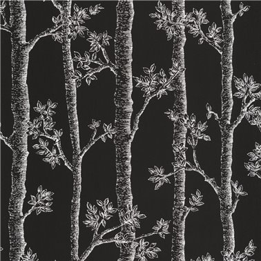 Automne Noir 106129090