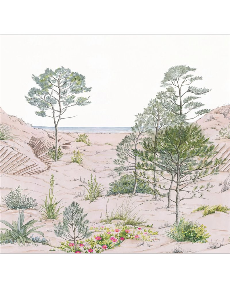 Sand Dune Nature L 106377039 Sand Dune Nature L 106377039