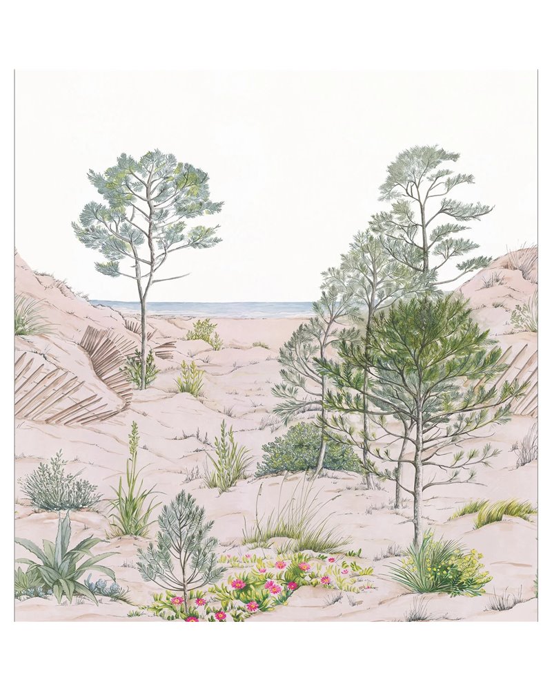 Sand Dune Nature M 106377038 Sand Dune Nature M 106377038