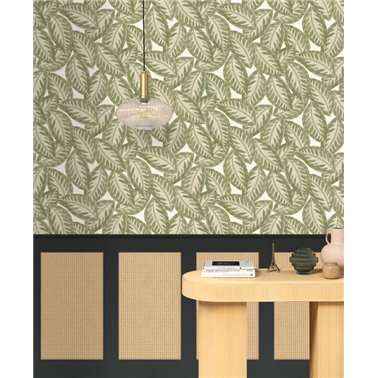 Canework Base Noir M 106399090