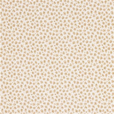Cleo Ginger J197W-04