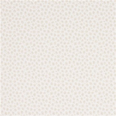 Cleo Ivory J197W-03