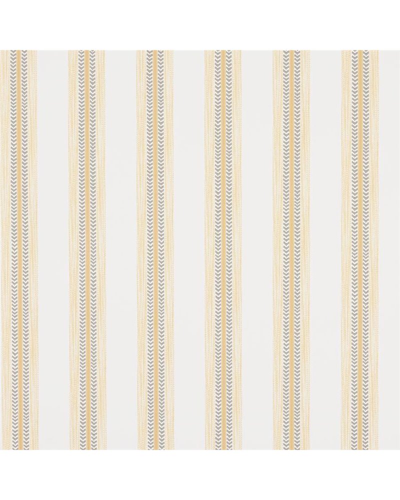 Camber Stripe Yellow J199W-02 Camber Stripe Yellow J199W-02