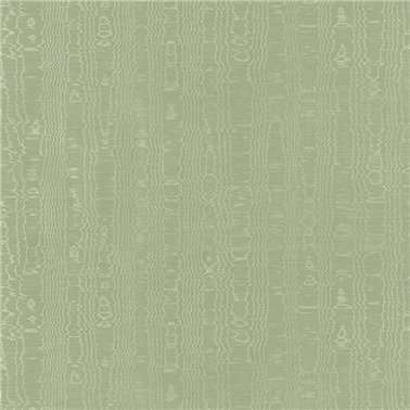 Regia Willow AW9214