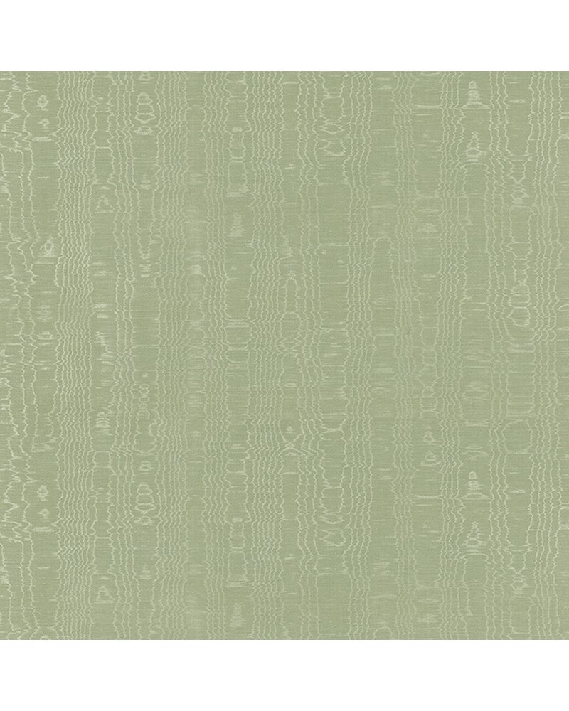 Regia Willow AW9214 Regia Willow AW9214