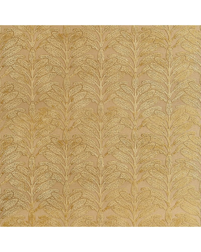 Linden Velvet Soft Gold AW9203 Linden Velvet Soft Gold AW9203