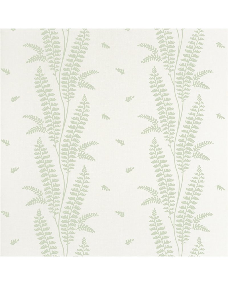 Ensbury Fern Green AT57826 Ensbury Fern Green AT57826
