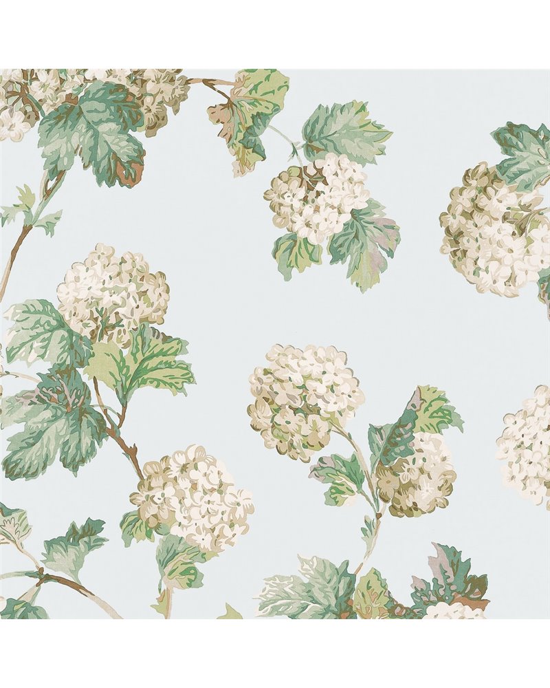Sussex Hydrangea Soft Blue AT57845 Sussex Hydrangea Soft Blue AT57845