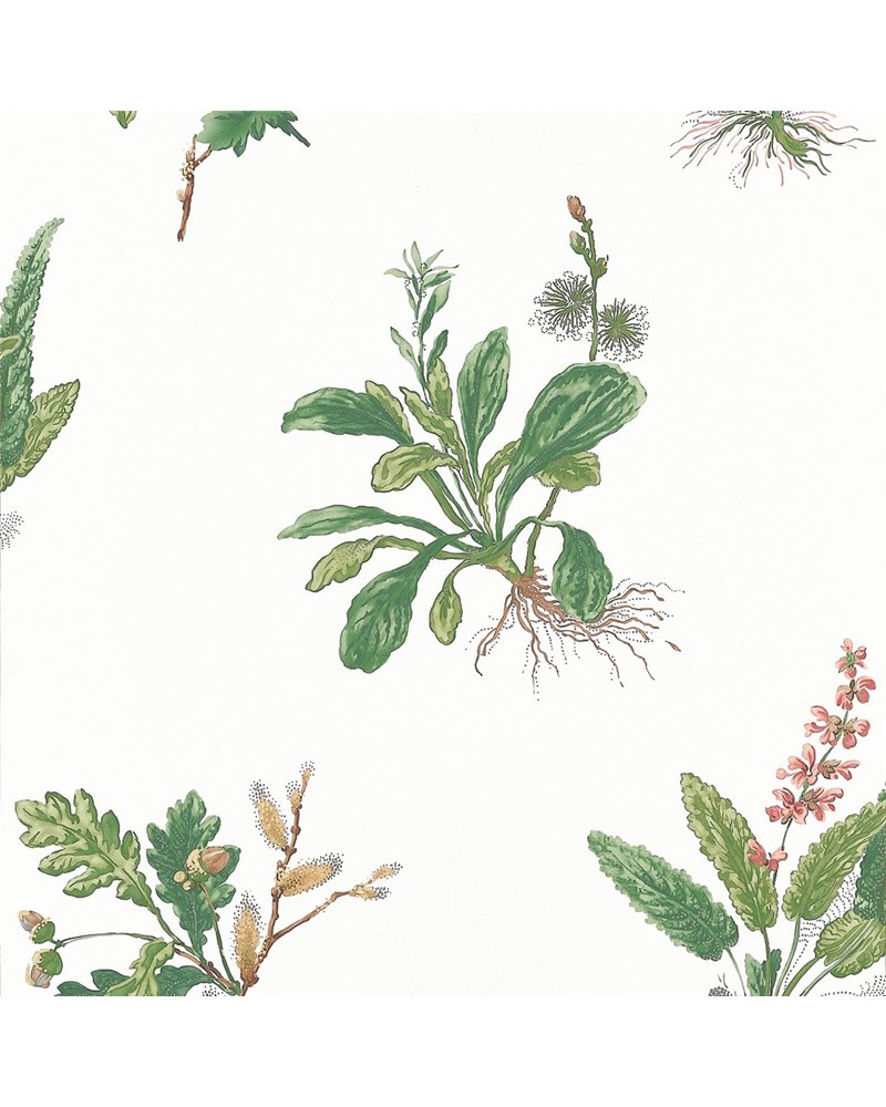 Woodland Green and Blush AT57852 Woodland Green and Blush AT57852