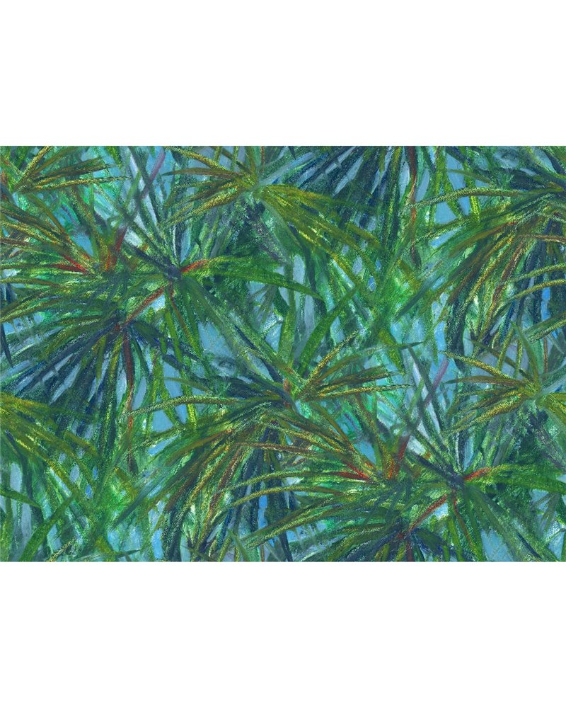 Matira Green 40000 Matira Green 40000