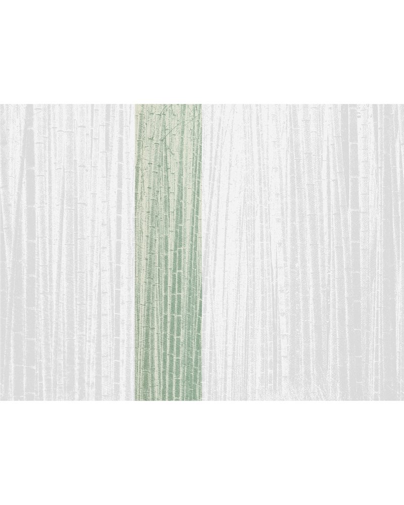 Arashiyma Sage 40353 Arashiyma Sage 40353