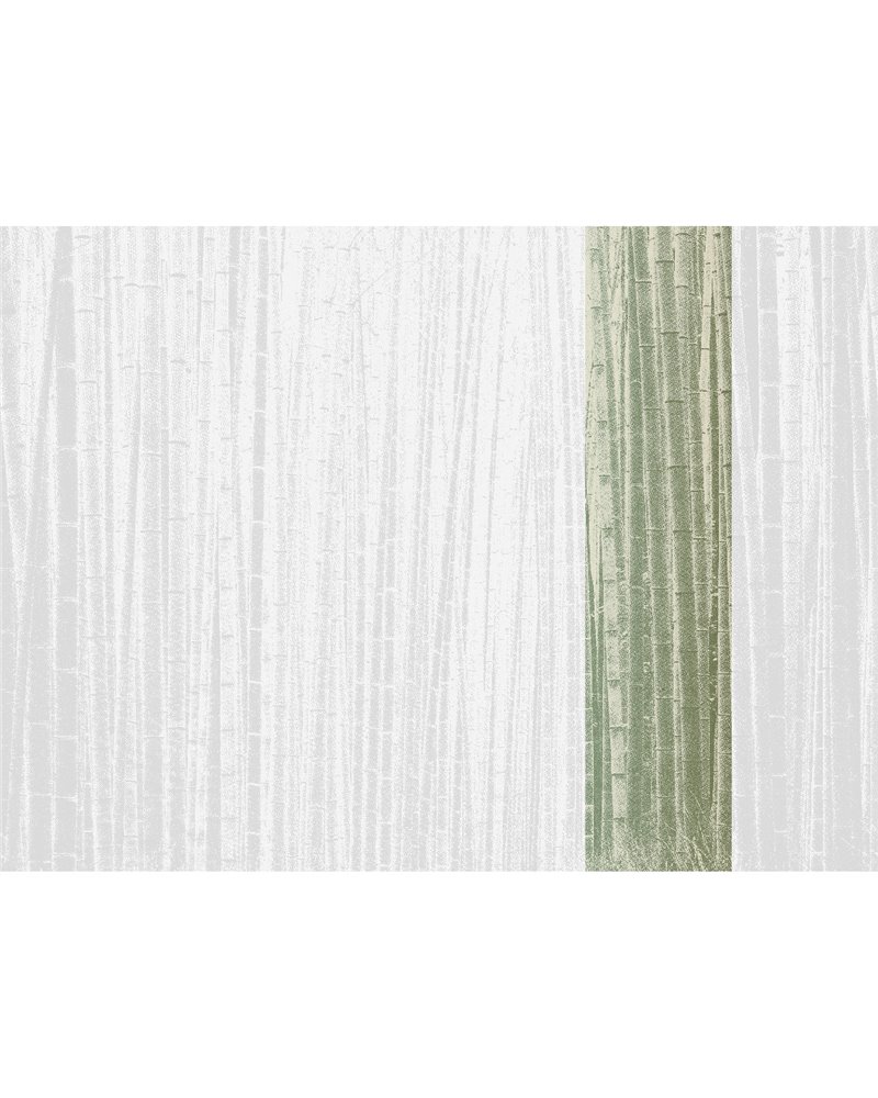 Arashiyma Sage 40355 Arashiyma Sage 40355