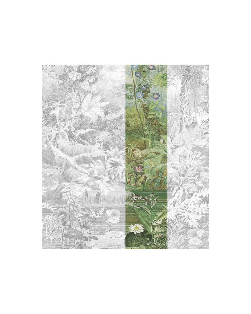 Coari Green 40243 Coari Green 40243