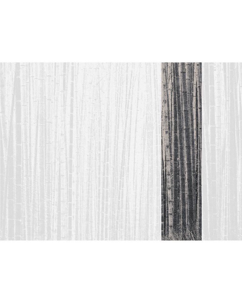 Arashiyma Black 40325 Arashiyma Black 40325