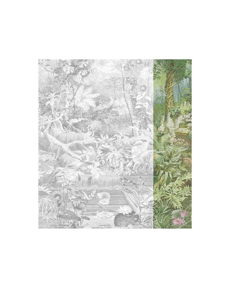 Coari Green 40244 Coari Green 40244