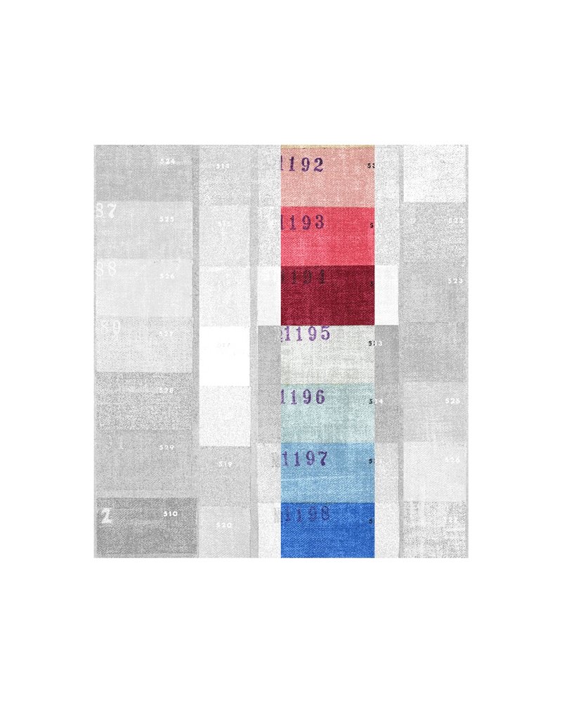 Festival Primary Colors 40493 Festival Primary Colors 40493