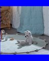 ALFOMBRA REF.-608556