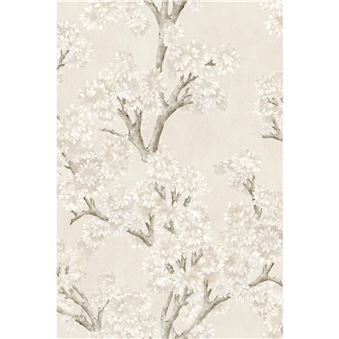 Field-Maple Bone YSP0504