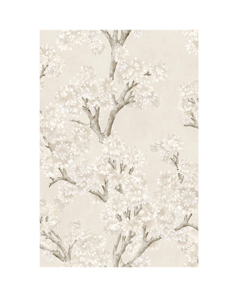 Field-Maple Bone YSP0504 Field-Maple Bone YSP0504