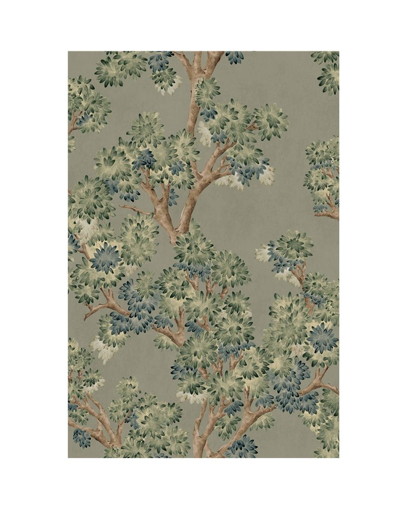 Field-Maple Sage YSP0500 Field-Maple Sage YSP0500