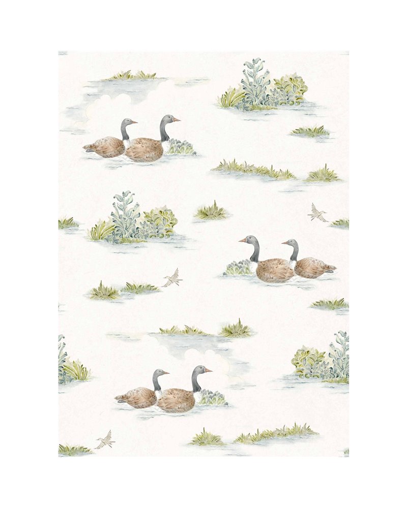 Mallard-Duck Sage YSP0536 Mallard-Duck Sage YSP0536