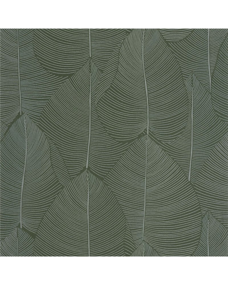 Nuance Vert Irise 106597070 Nuance Vert Irise 106597070