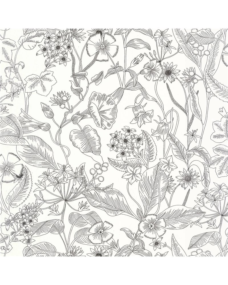 Lightness Nori 106609090 Lightness Nori 106609090