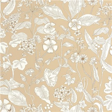 Lightness Beige 106601010