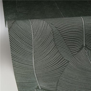 Nuance Vert Irise 106597070