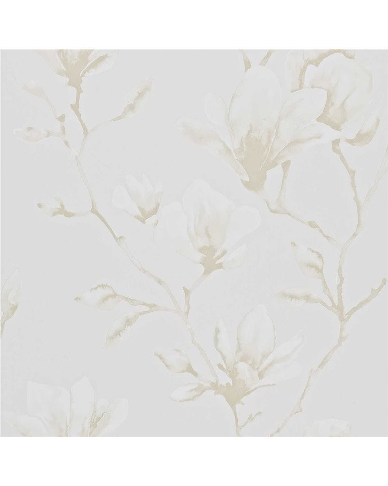 Lotus Pearl Pearl HMOW110877 Lotus Pearl Pearl HMOW110877