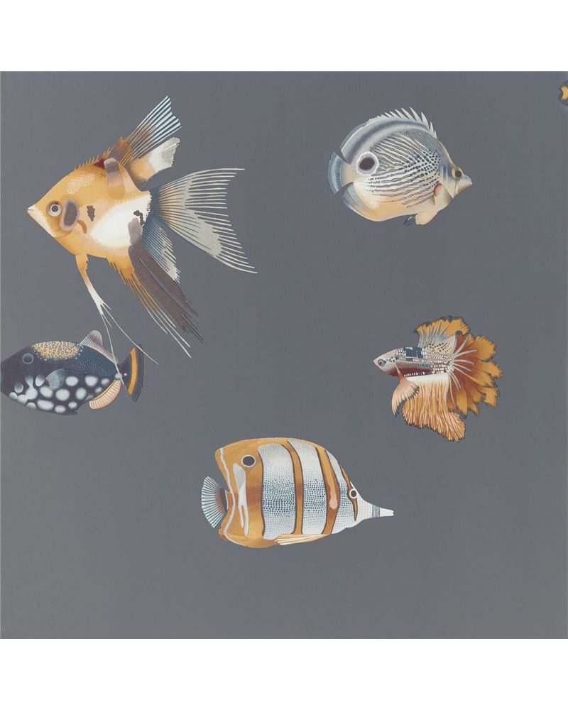 Kamanu Amber Slate HANZ111648 Kamanu Amber Slate HANZ111648
