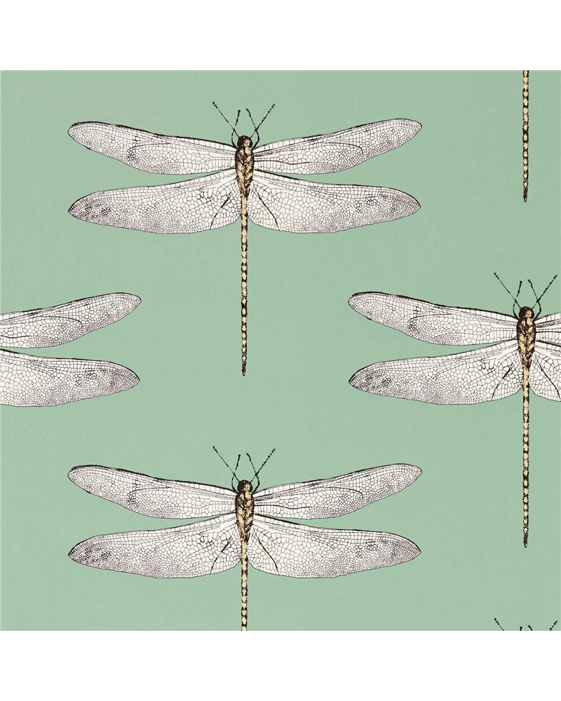 Demoiselle Seaglass First Light Sand HRTW113145 Demoiselle Seaglass First Light Sand HRTW113145