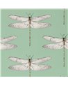 Demoiselle Seaglass First Light Sand HRTW113145