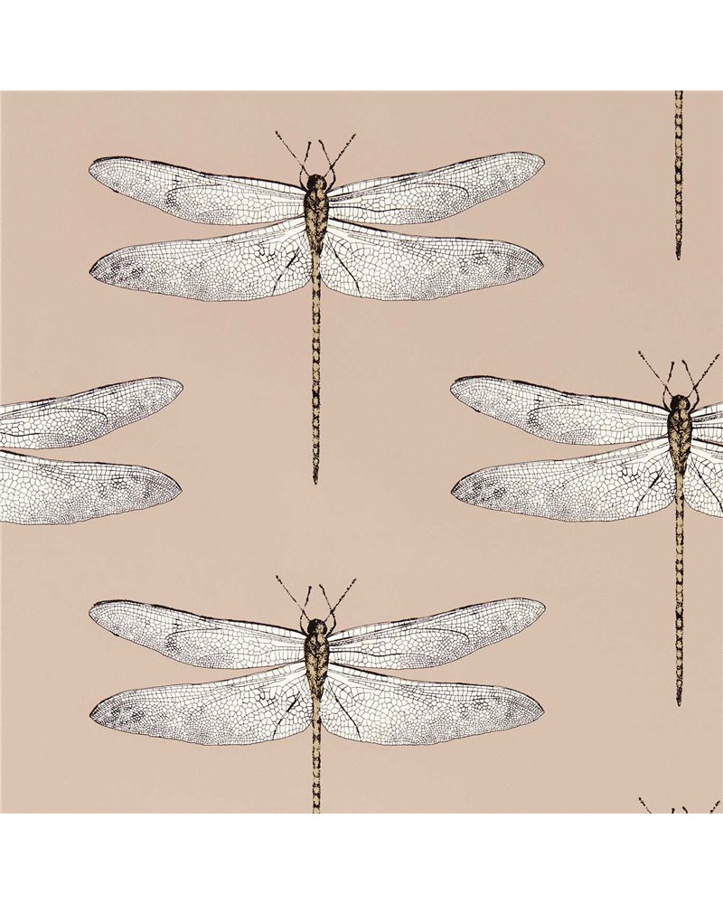 Demoiselle Positano First Light Taupe HRTW113142 Demoiselle Positano First Light Taupe HRTW113142