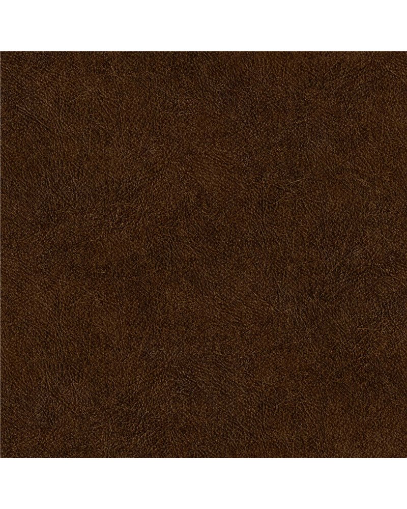 Cuero 25 B00766