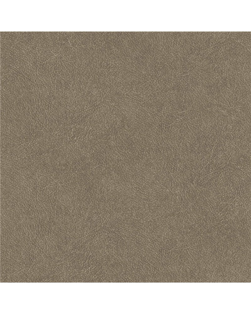 Cuero 24 B00768