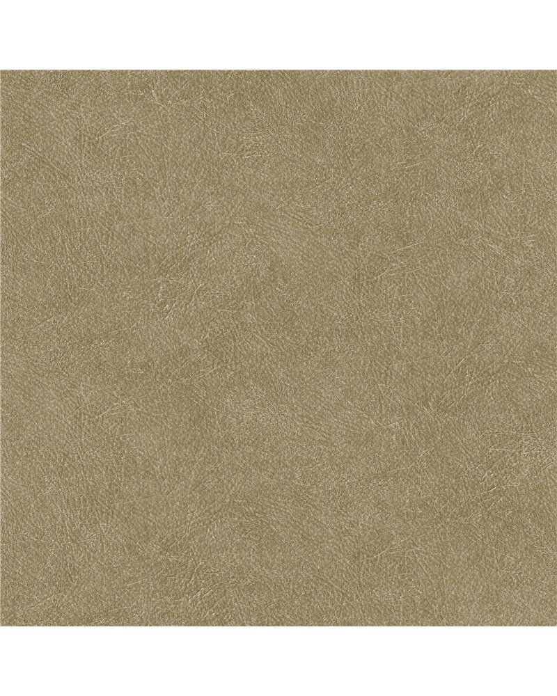 Cuero 22 B00770