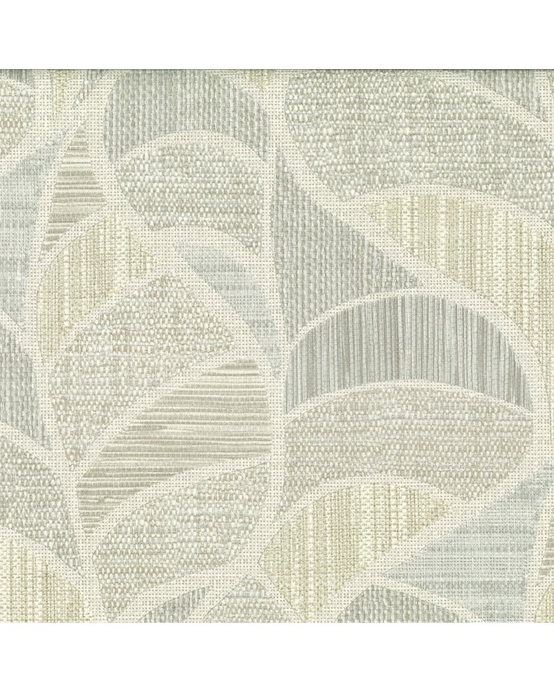 Monstera 25823 Monstera 25823