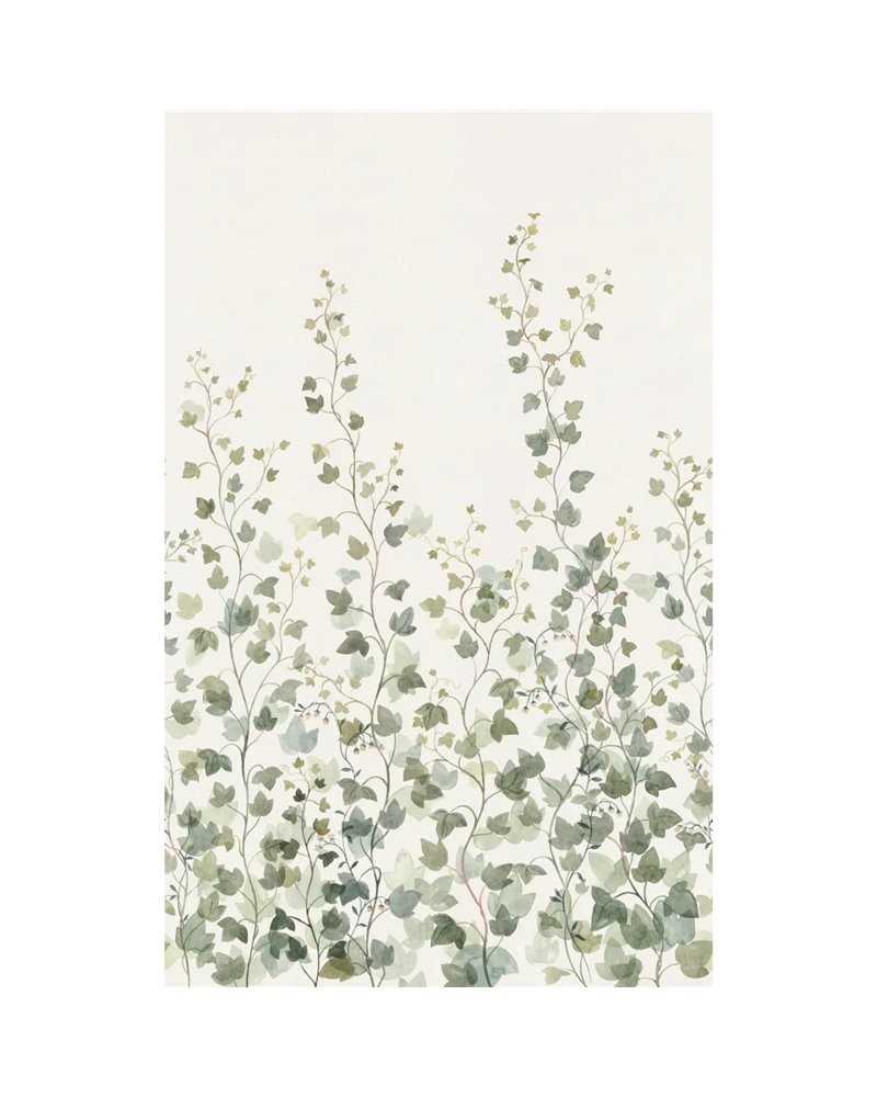Ivy Green S10484 Ivy Green S10484