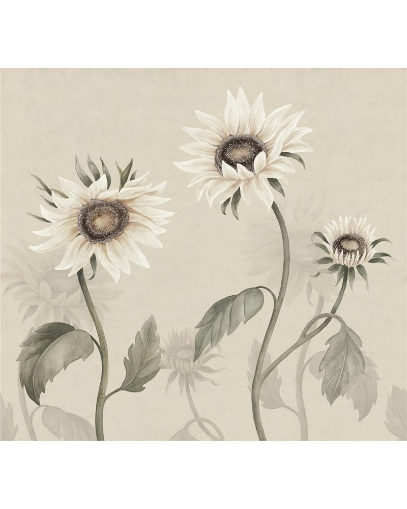 Sunflowers White S10529 Sunflowers White S10529