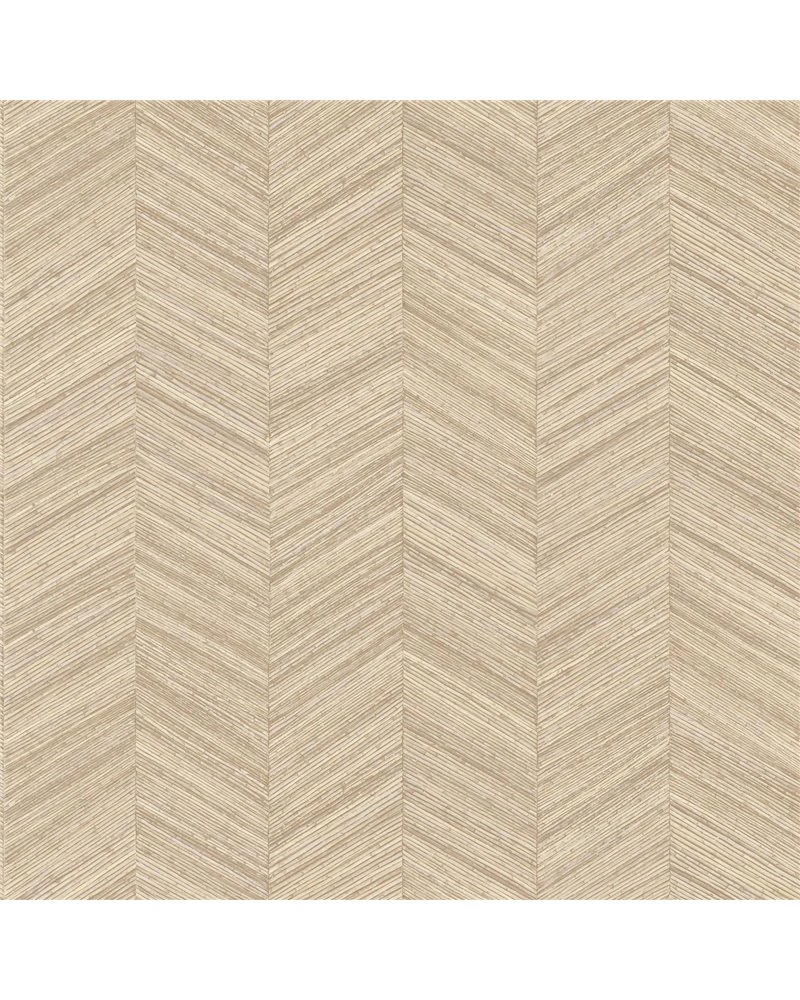 Ocotea Coquille B75372446 Ocotea Coquille B75372446