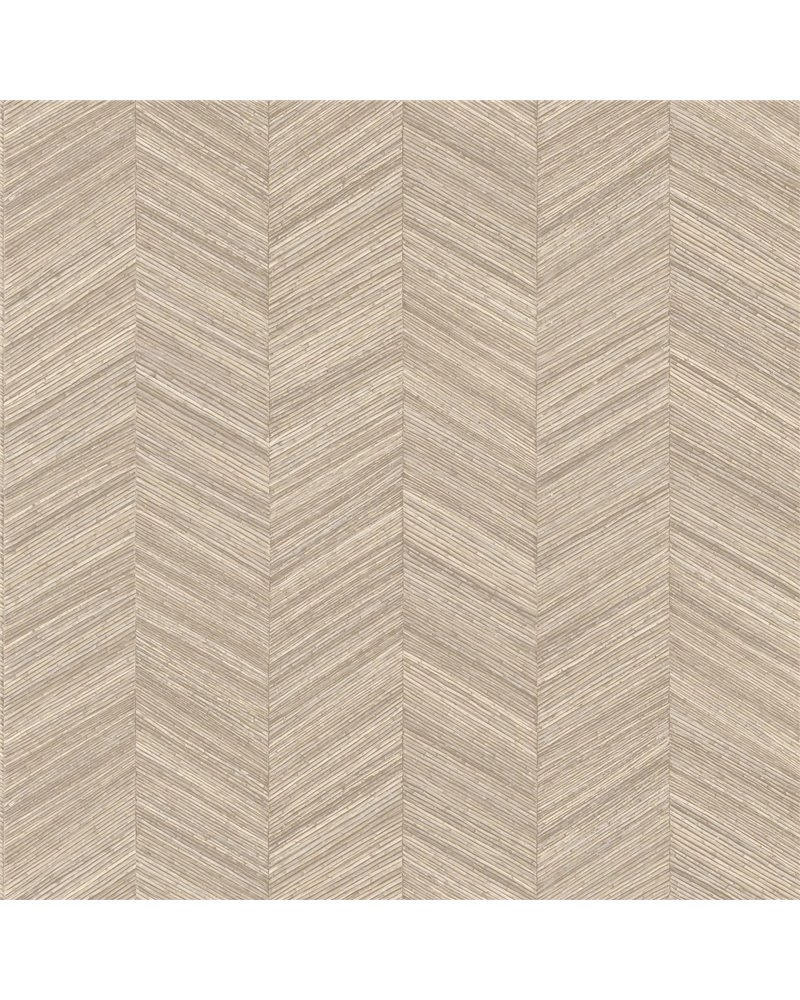 Ocotea Perle B75372548 Ocotea Perle B75372548