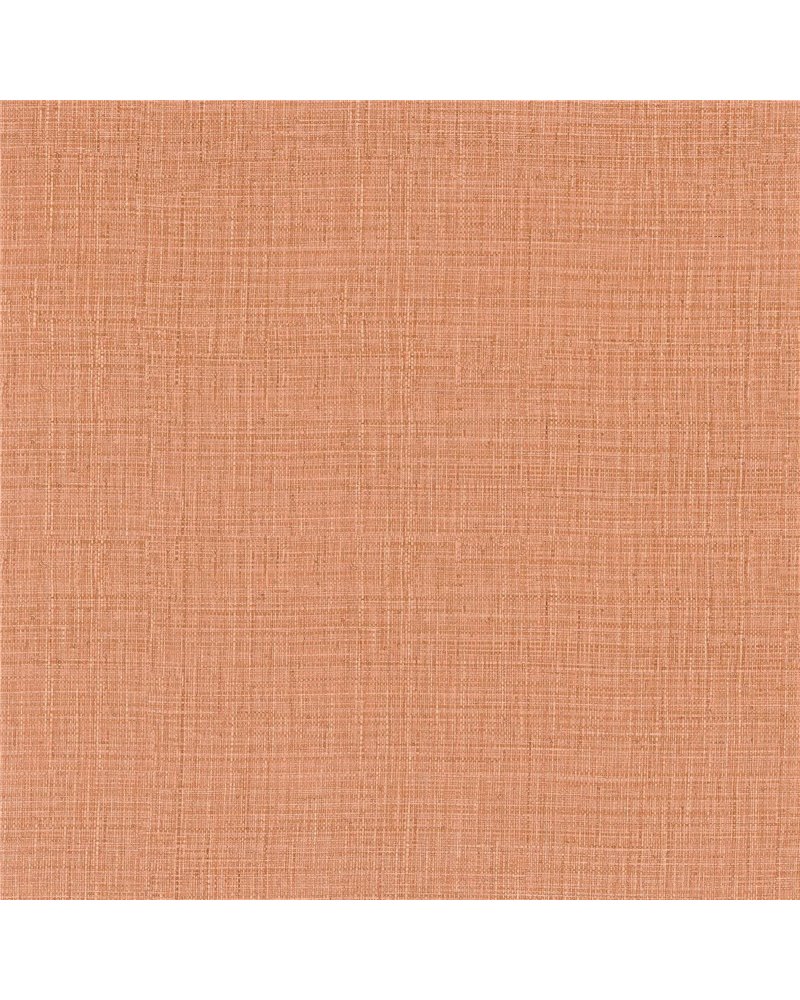 Sierra Corail 76702956 Sierra Corail 76702956