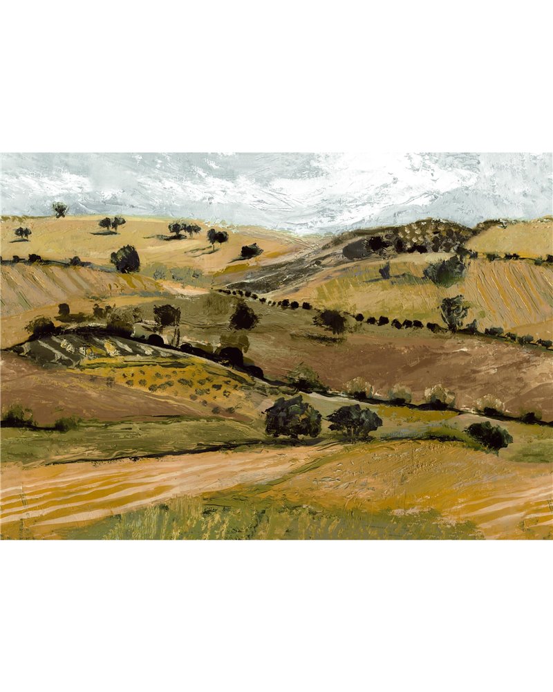 Quijote Yellow M5203-2 Quijote Yellow M5203-2