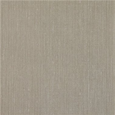 Shinjo sesame 27534