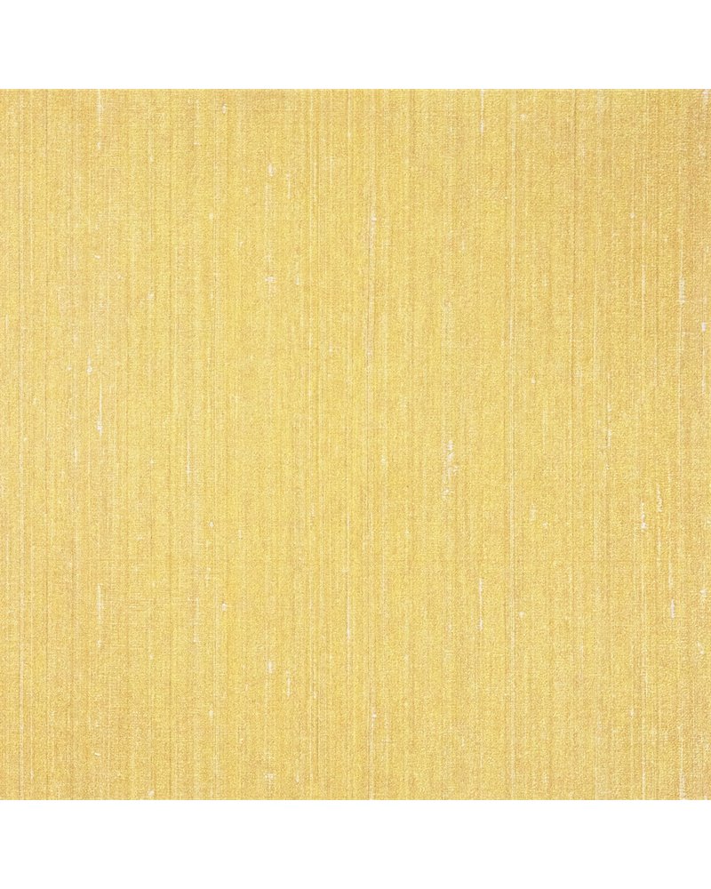 Shinjo curry 27530 Shinjo curry 27530