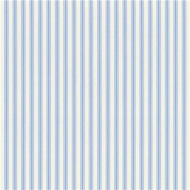Ticking Stripe Sky WC044-063