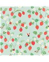 Strawberry Patch W64001