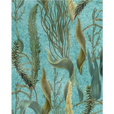 Aquatic plants Aquamarine Turquoise WP20716