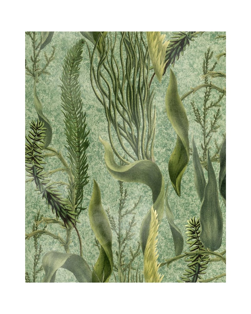 Aquatic plants Green WP20717 Aquatic plants Green WP20717